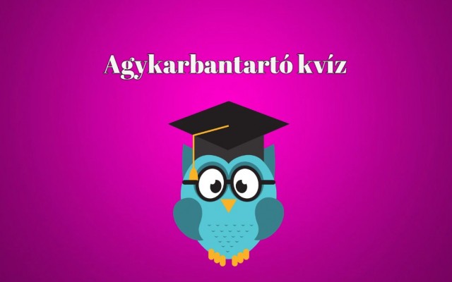Napi kvíz - Ha tudsz válaszolni ezekre az egyszerű kérdésekre, a te tudásod is átlag feletti