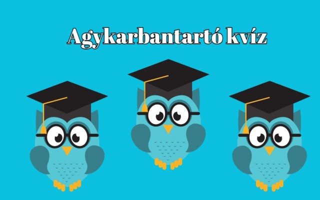 Most mutasd meg, hogyan kell egy ilyen napi kvízben átlag feletti eredményt elérni