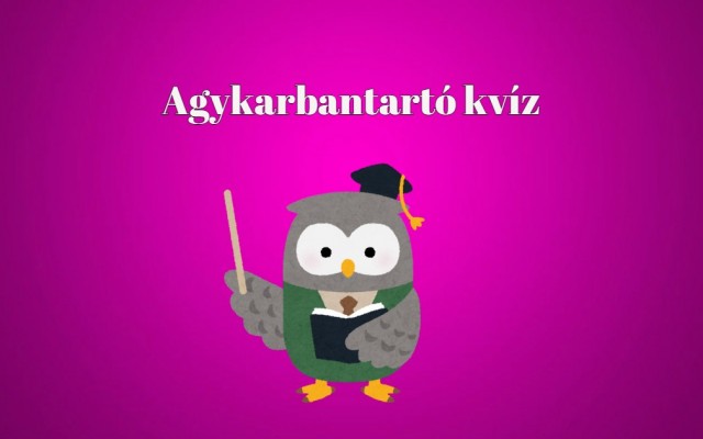 Agykarbantartó napi kvíz - Válaszolj a kérdések több, mint felére helyesen