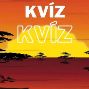 kvizek