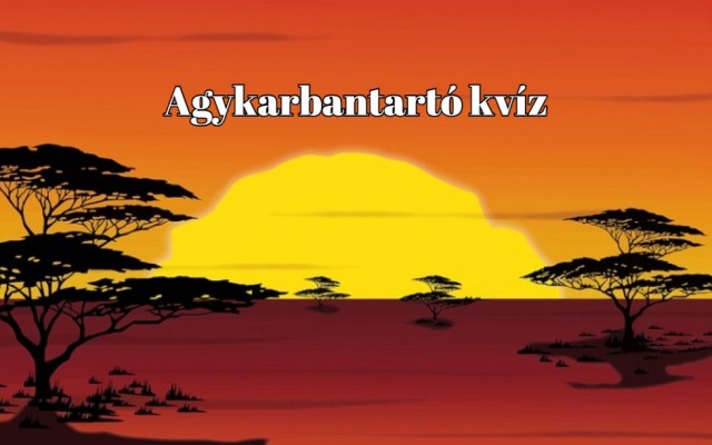 Agykarbantartó napi kvíz, mellyel frissen tarthatod az agytekervényeidet