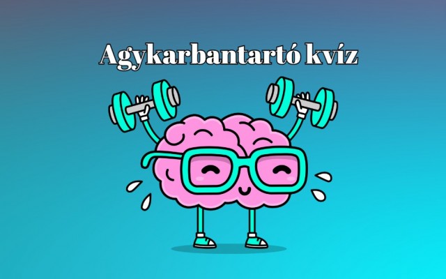 Napi agykarbantartó kvízünk segítségével próbára teheted magad