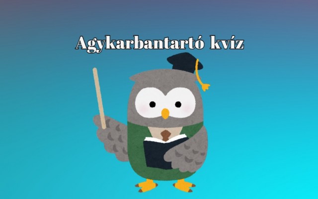 Napi kvíz - Nyolc kérdés, Nyolc helyes választ keres