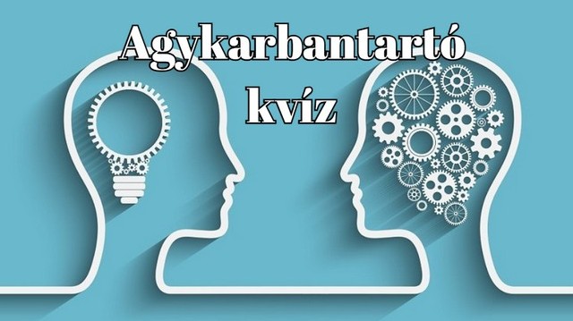 Válaszd ki melyik a helyes! Hogy írjuk rövidítve azt, hogy északnyugat?