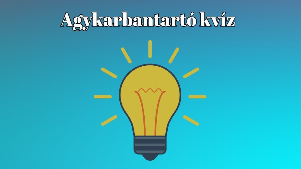 Melyik szervünk felülete akkora nagyjából, mint egy teniszpálya?